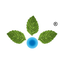 Anupam Rasayan India Ltd logo