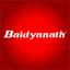 Baidyanath logo
