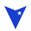 BankVic logo