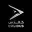 Calidus, LLC logo