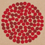 Donatos Pizza logo