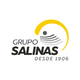 Grupo Salinas logo