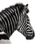 Investec logo