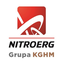 Nitroerg logo