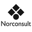 Norconsult International logo