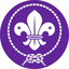 World Organization of the Scout Movement logo