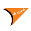 Shree Anjani Courier Services Pvt. Ltd logo