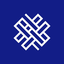 Vital Strategies logo